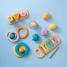 Montessori play kit | 16-18 Months